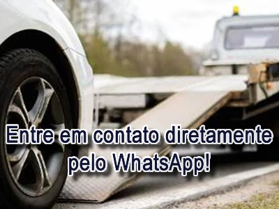 Guincho Zona Sul Poa
